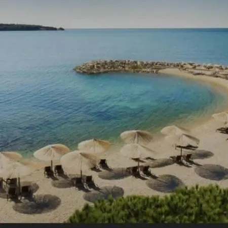 Zen Novigrad *